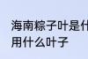 海南粽子叶是什么叶子 在海南包粽子用什么叶子