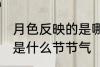 月色反映的是哪个节节气 月色反映的是什么节节气