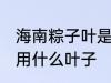 海南粽子叶是什么叶子 在海南包粽子用什么叶子