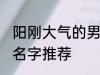 阳刚大气的男孩名字 阳刚大气的男孩名字推荐