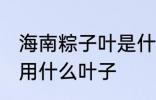海南粽子叶是什么叶子 在海南包粽子用什么叶子