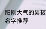 阳刚大气的男孩名字 阳刚大气的男孩名字推荐
