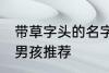 带草字头的名字男孩 带草字头的名字男孩推荐