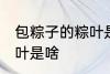 包粽子的粽叶是什么叶子 包粽子的粽叶是啥