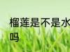 榴莲是不是水果之王 榴莲是水果之王吗