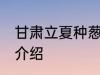 甘肃立夏种葱时间 甘肃立夏种葱时间介绍