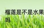 榴莲是不是水果之王 榴莲是水果之王吗