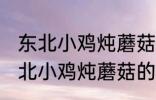 东北小鸡炖蘑菇的蘑菇是什么蘑菇 东北小鸡炖蘑菇的蘑菇是哪种蘑菇