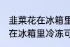 韭菜花在冰箱里冷冻能放多久 韭菜花在冰箱里冷冻可以放多长时间