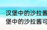 汉堡中的沙拉酱可以用炼乳代替吗 汉堡中的沙拉酱可不可以用炼乳代替