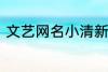 文艺网名小清新2个字 简短文艺昵称