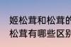 姬松茸和松茸的区别是什么 姬松茸和松茸有哪些区别