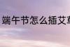 端午节怎么插艾草 端午节插艾草方法