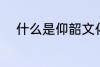 什么是仰韶文化 仰韶文化的解释