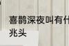 喜鹊深夜叫有什么兆头 喜鹊叫有什么兆头