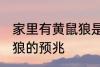 家里有黄鼠狼是什么兆头 家里有黄鼠狼的预兆