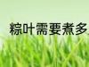 粽叶需要煮多久 粽叶要煮多长时间