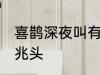 喜鹊深夜叫有什么兆头 喜鹊叫有什么兆头