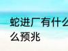 蛇进厂有什么兆头 工厂里出现蛇是什么预兆