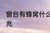 窗台有蜂窝什么兆头 窗台有蜂窝的征兆