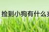 捡到小狗有什么兆头 捡到小狗的兆头
