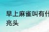 早上麻雀叫有什么兆头 早上麻雀叫的兆头