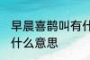 早晨喜鹊叫有什么兆头 早晨喜鹊叫是什么意思