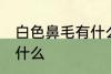 白色鼻毛有什么兆头 白色鼻毛代表了什么