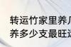转运竹家里养几支最旺运 转运竹家里养多少支最旺运