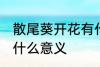 散尾葵开花有什么兆头 散尾葵开花有什么意义