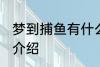 梦到捕鱼有什么兆头 梦见捕鱼的寓意介绍