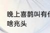 晚上喜鹊叫有什么兆头 晚上喜鹊叫有啥兆头
