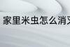 家里米虫怎么消灭 家里米虫如何消灭
