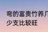 弯的富贵竹养几支最旺运 富贵竹养多少支比较旺