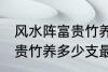 风水阵富贵竹养几支最旺运 风水阵富贵竹养多少支最旺运