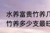 水养富贵竹养几支最旺运财 水养富贵竹养多少支最旺运财
