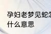 孕妇老梦见蛇怎么回事 孕妇梦见蛇是什么意思