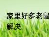 家里好多老鼠怎么办 家里有老鼠怎么解决