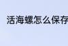 活海螺怎么保存 活海螺的保存方法