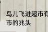 鸟儿飞进超市有什么兆头 鸟儿飞进超市的兆头