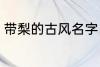 带梨的古风名字 带梨的古风名字推荐