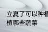 立夏了可以种植什么蔬菜 立夏可以种植哪些蔬菜