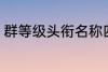 群等级头衔名称四个字 群名称有哪些