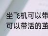 坐飞机可以带活的茧蛹吗 坐飞机可不可以带活的茧蛹