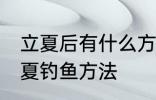 立夏后有什么方法好钓鱼快速上钓 立夏钓鱼方法