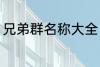 兄弟群名称大全 好听霸道兄弟群名称