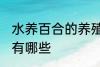 水养百合的养殖方法 水养百合的方法有哪些