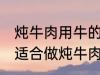 炖牛肉用牛的哪个部分 哪个位置的肉适合做炖牛肉
