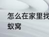 怎么在家里找蚂蚁窝 如何在家里找蚂蚁窝