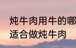 炖牛肉用牛的哪个部分 哪个位置的肉适合做炖牛肉